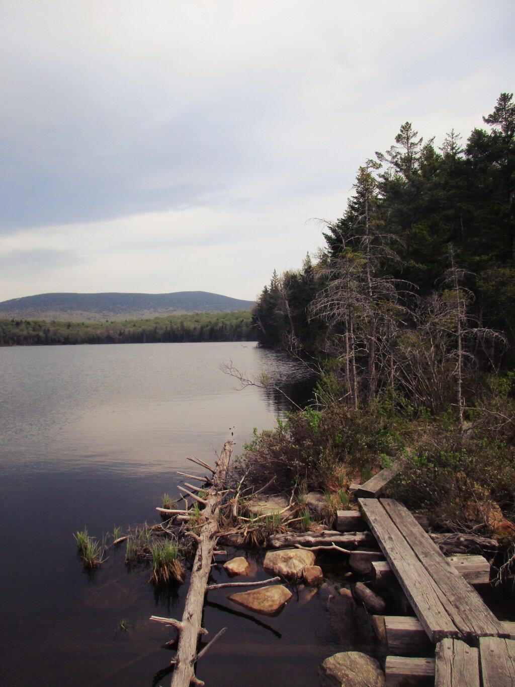 Photo: Bridge Over Stratton Pond Outflow