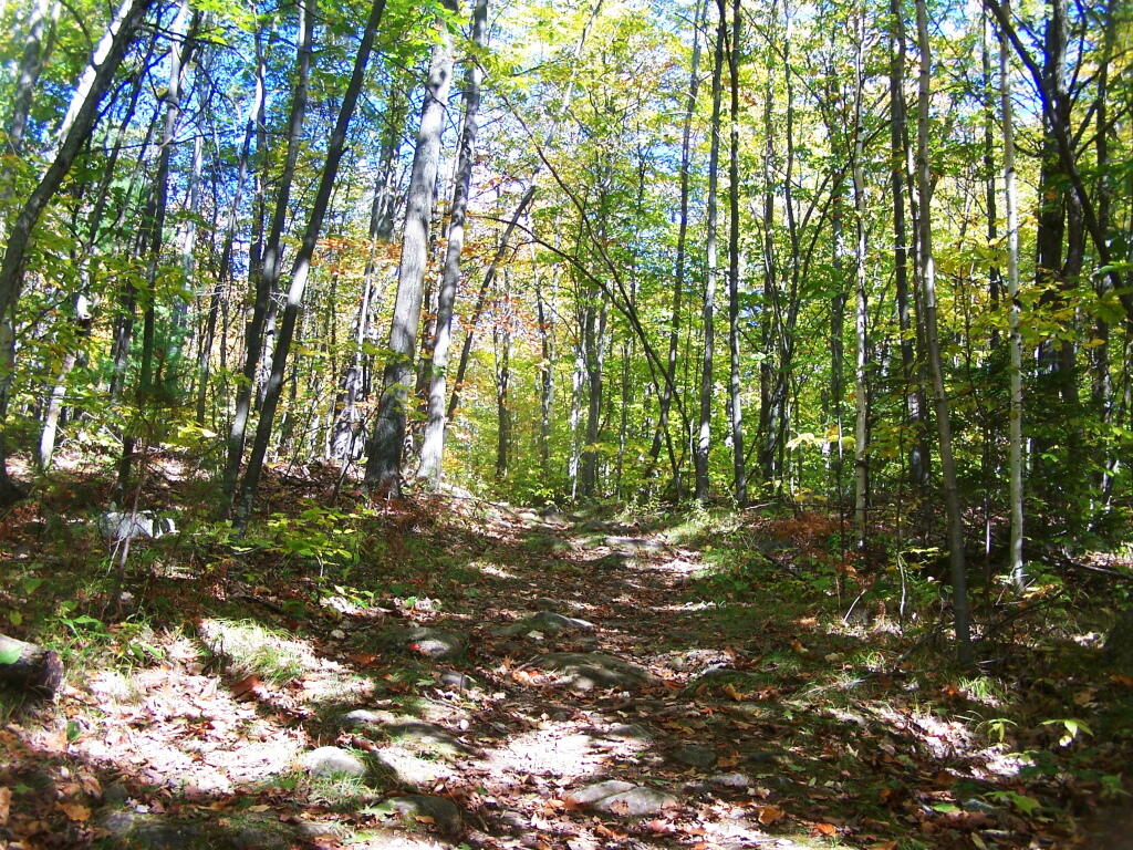 Photo: Along the Old Jeep Trail