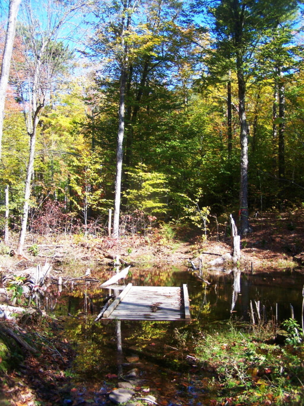 Photo: The Beaver Dun It