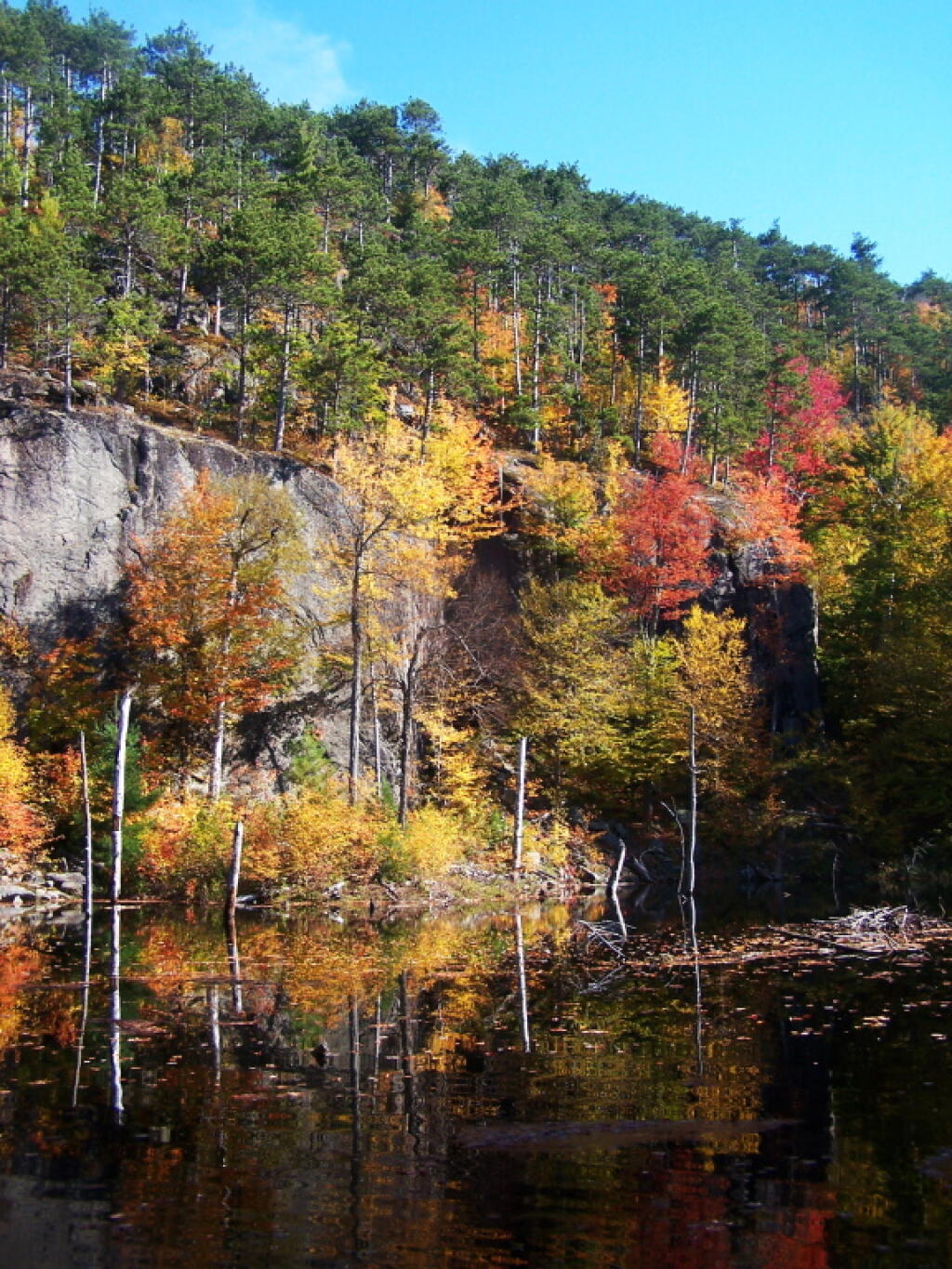 Photo: Pond on Ledge