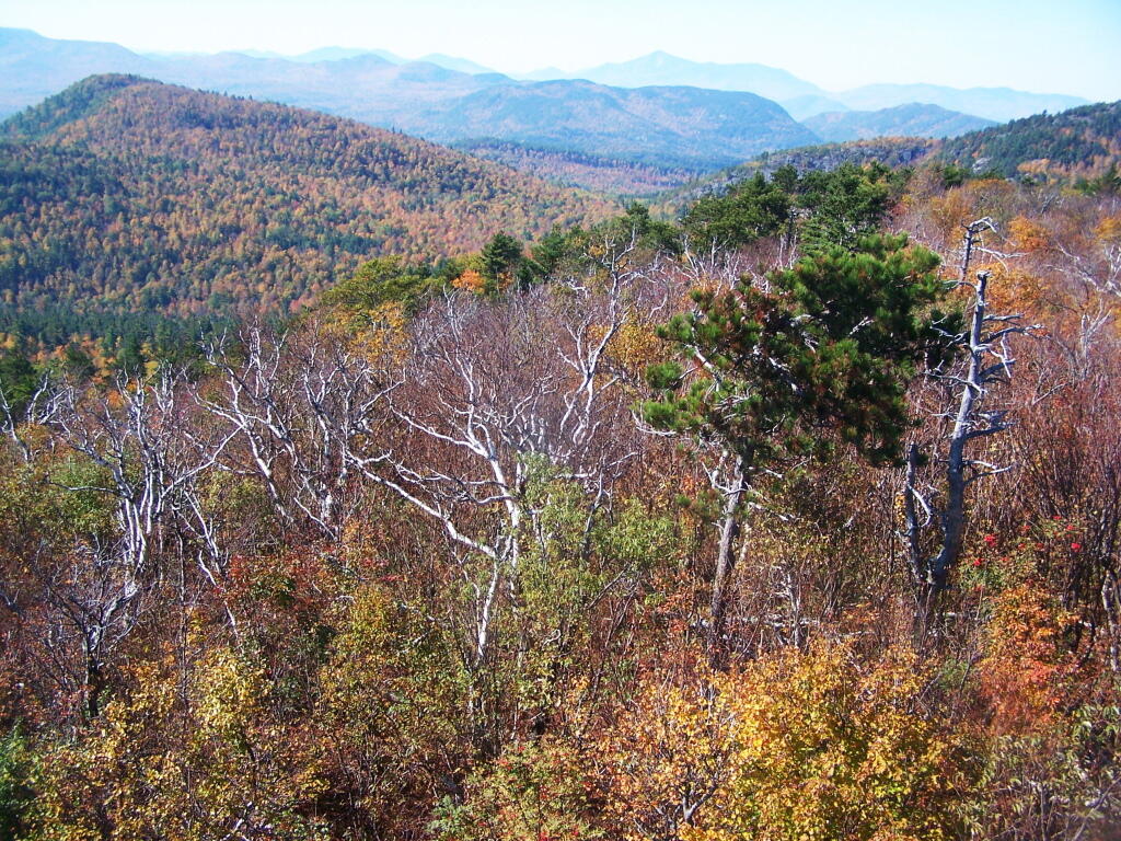 Photo: South West from Firetower