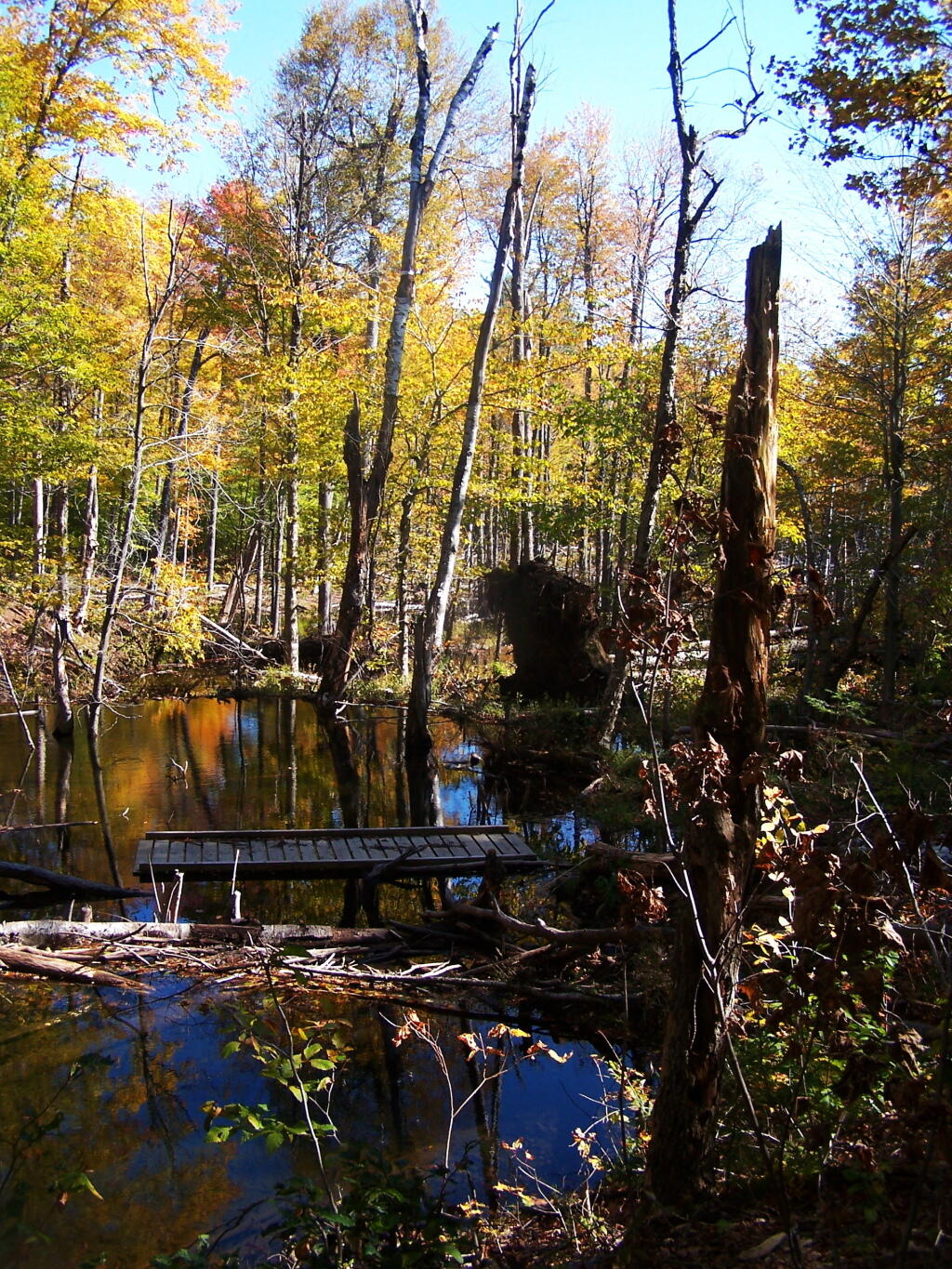 Photo: Past the Flooded Bridge