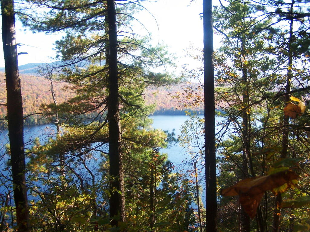 Photo: Silver Lake
