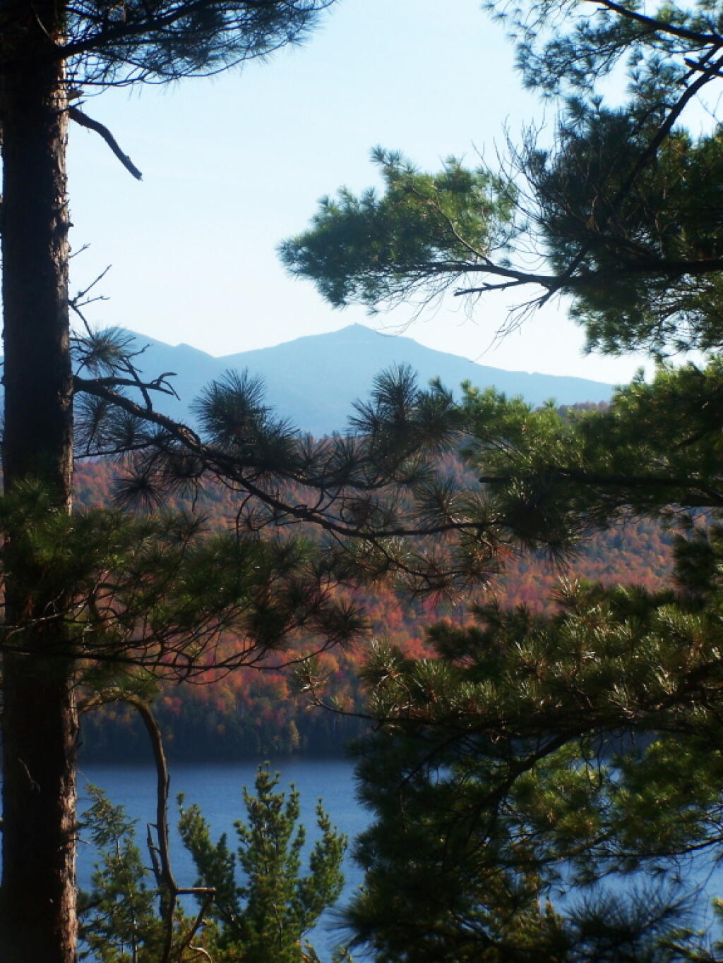 Photo: Whiteface from Pine Bluff