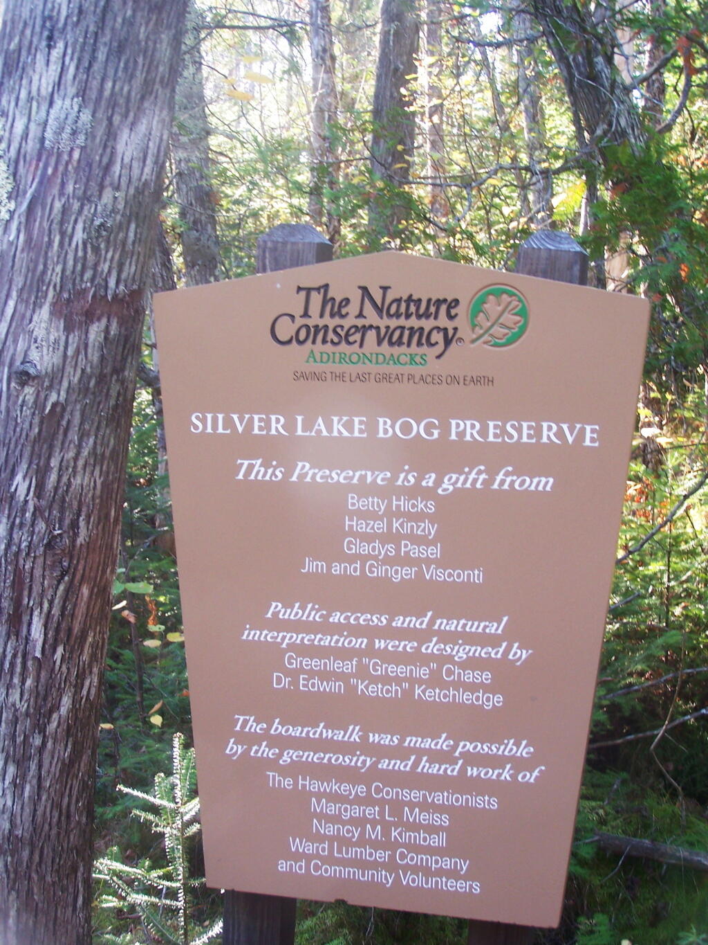 Photo: Silver Lake Bog Preserve Credits