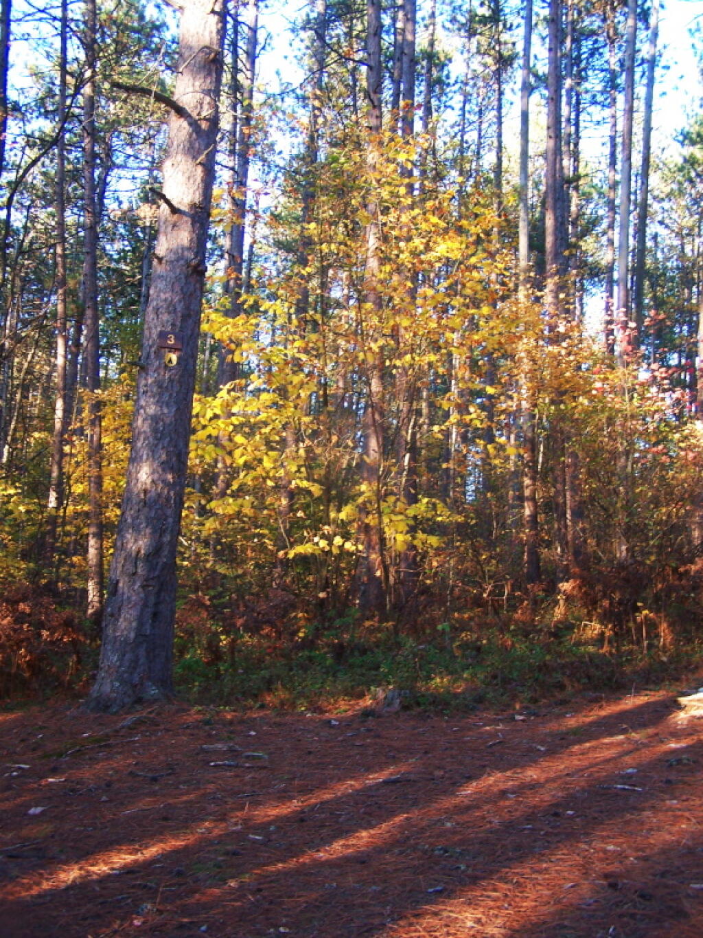 Photo: Fall Colors