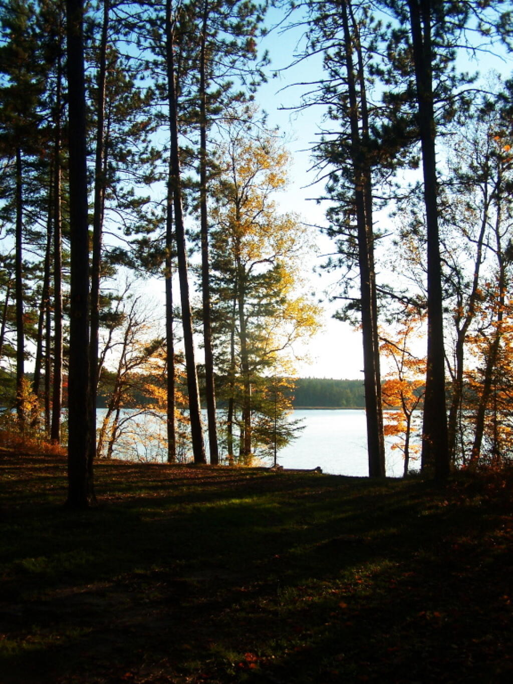 Photo: Evening