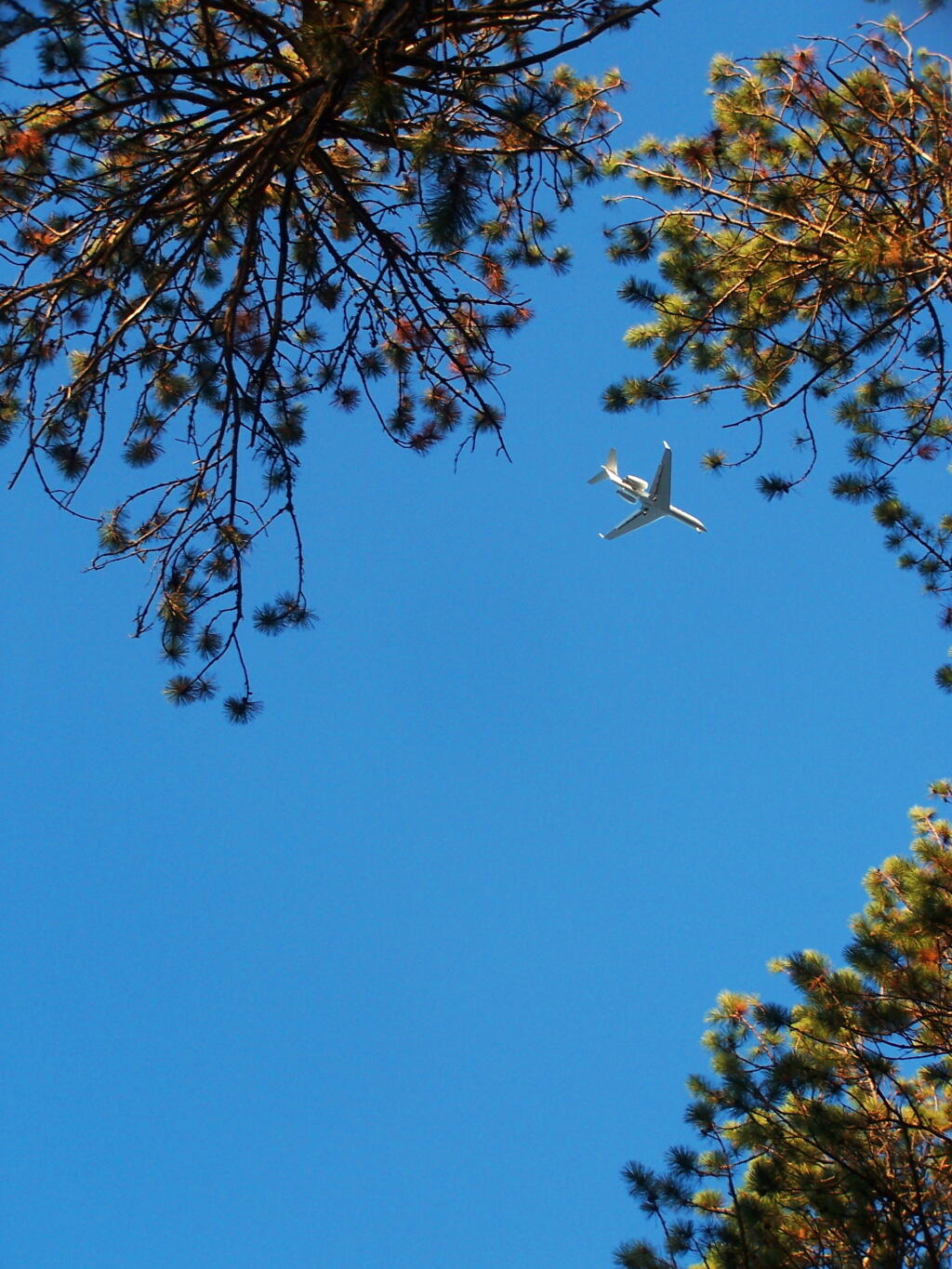Photo: Plane Heading Into Saranac Airport