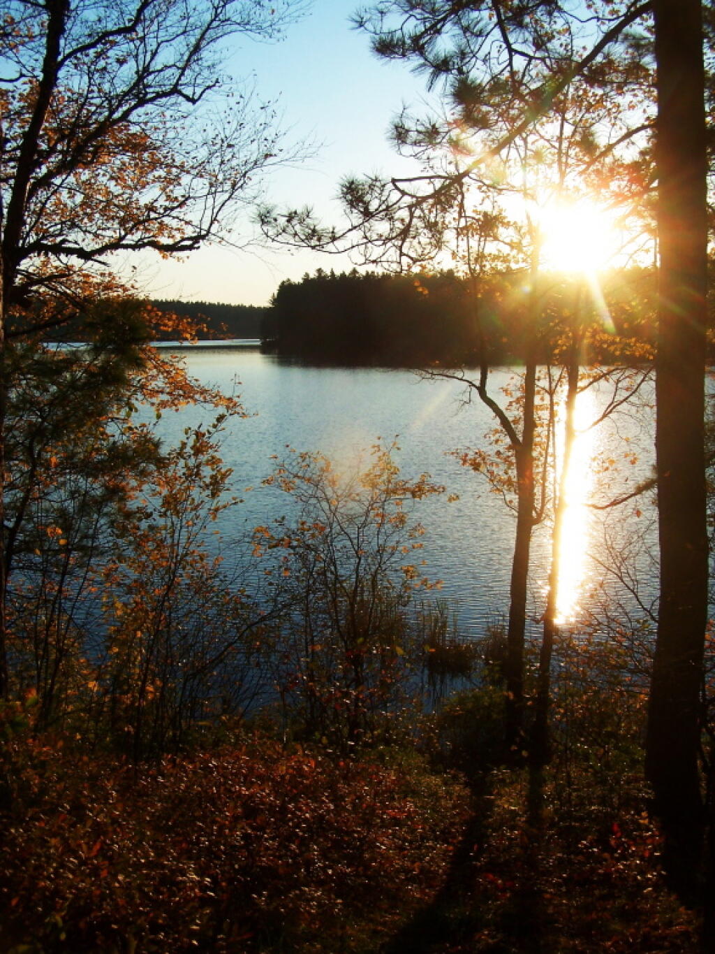 Photo: Setting Sun