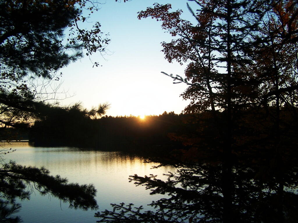 Photo: Almost Gone