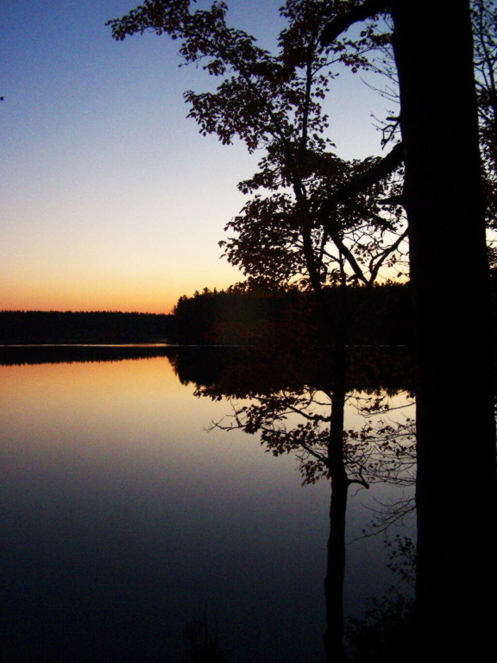 Photo: After Dark