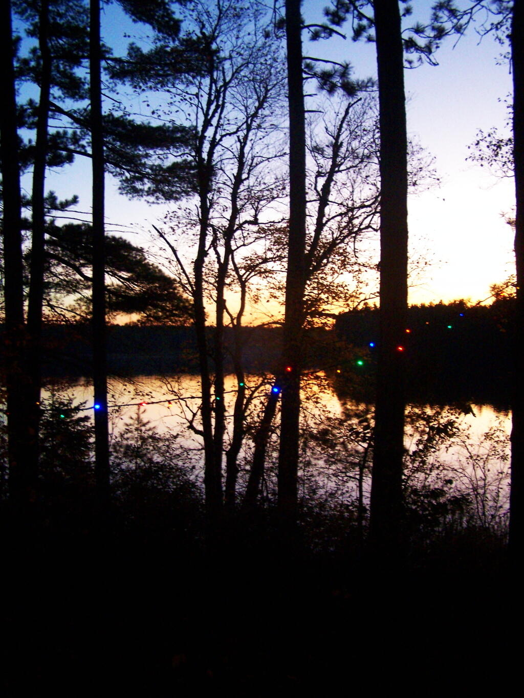 Photo: Christmas Lights
