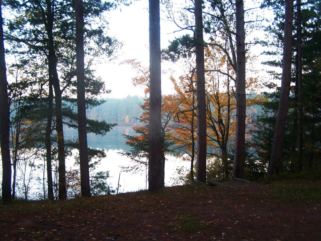 Photo: Still Fog on Jones Pond