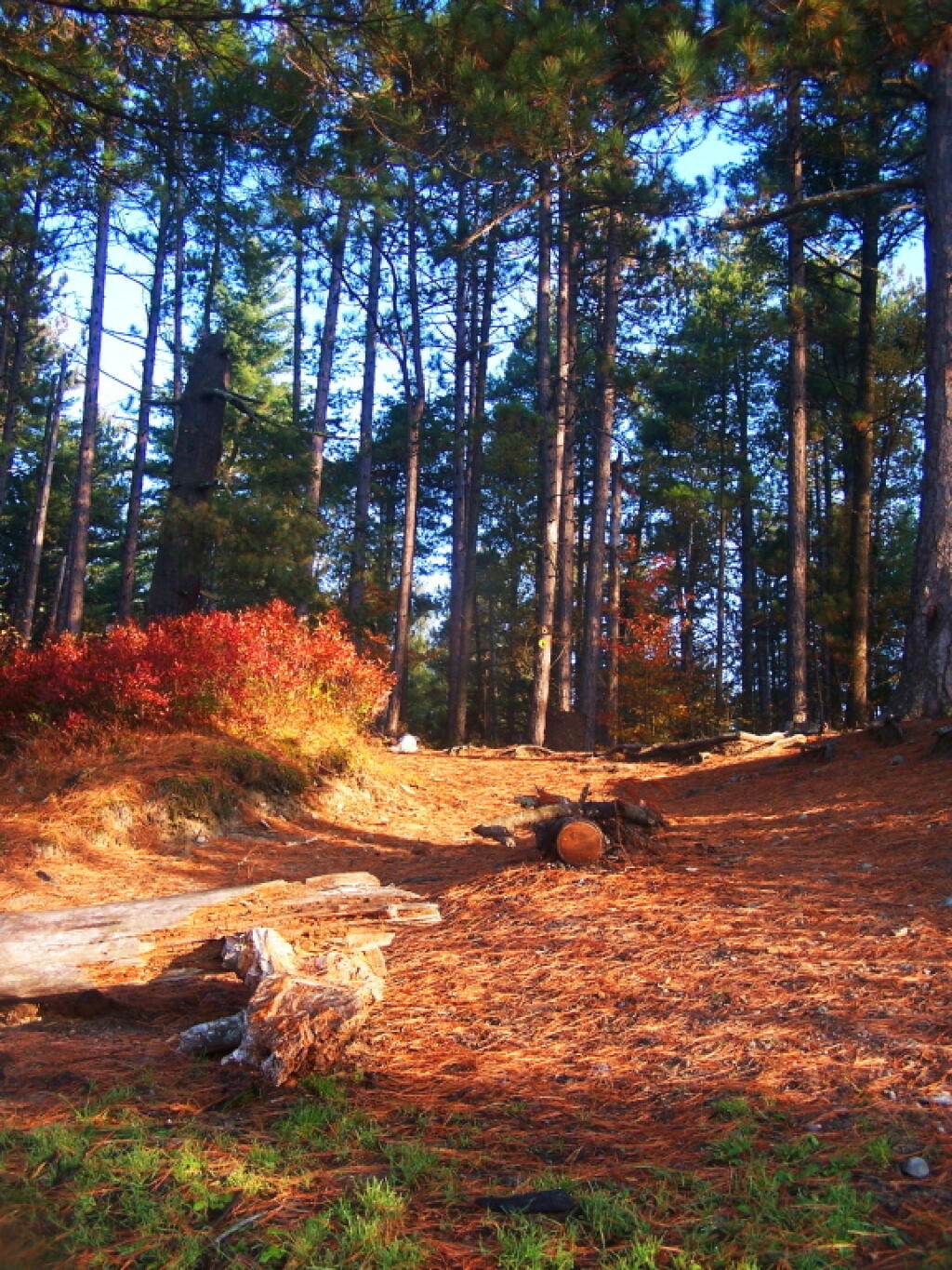 Photo: Tent Campsite Along Jones Pond