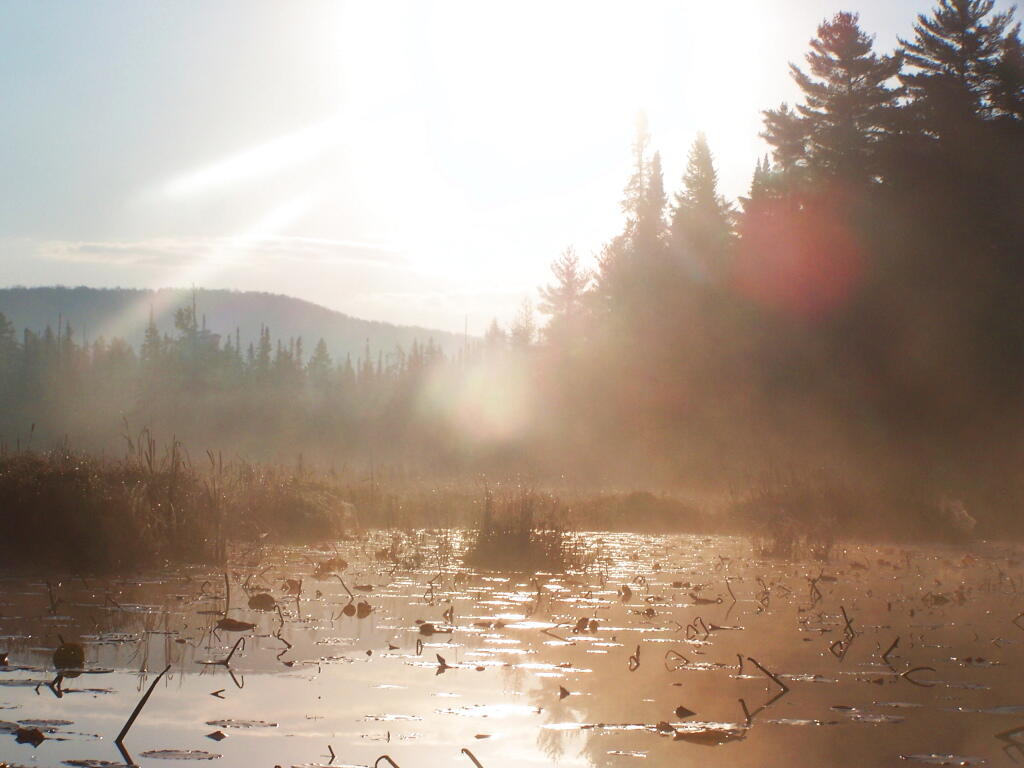 Photo: Sunrays Thru Sky
