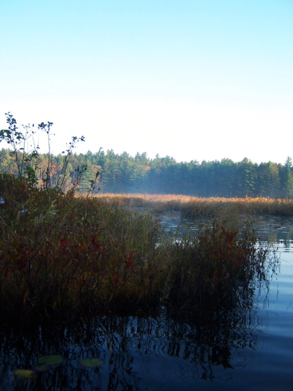 Photo: Wandering around Jones Pond