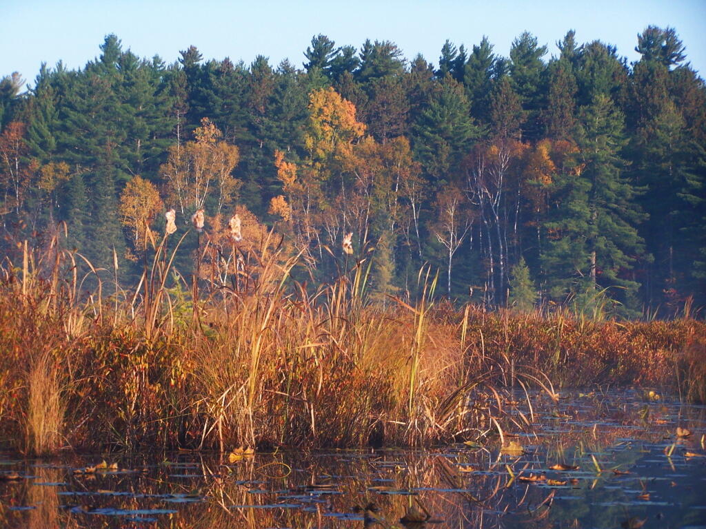 Photo: Untitled 3
