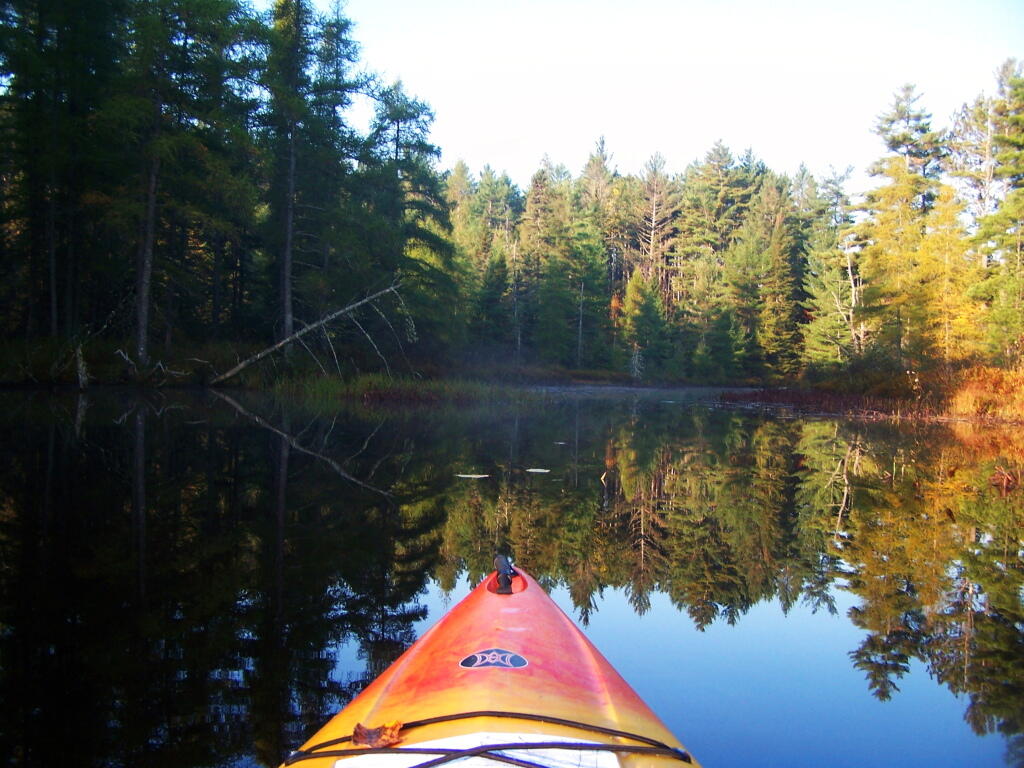Photo: Along the Osgood River Photo: Along the Osgood River