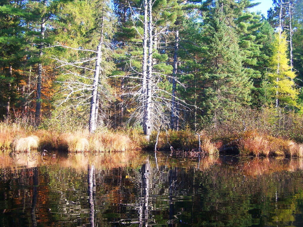Photo: Untitled 9