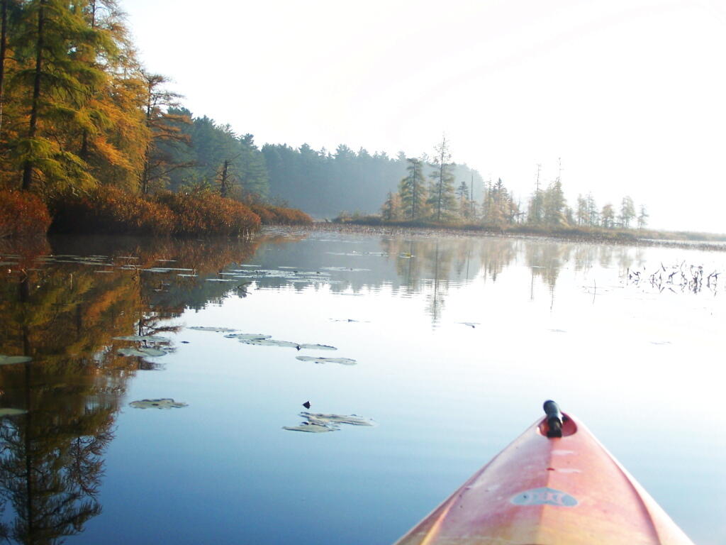 Photo: As Fog Rises on Jones Pond
