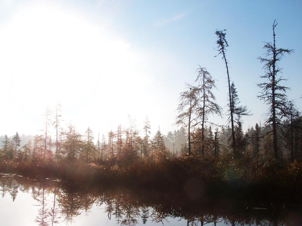 Photo: Untitled 11