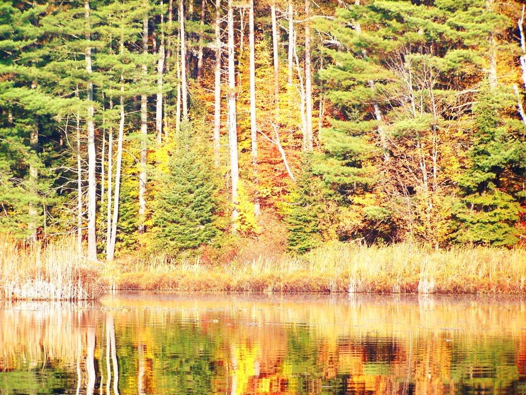 Photo: Colorful Reflections