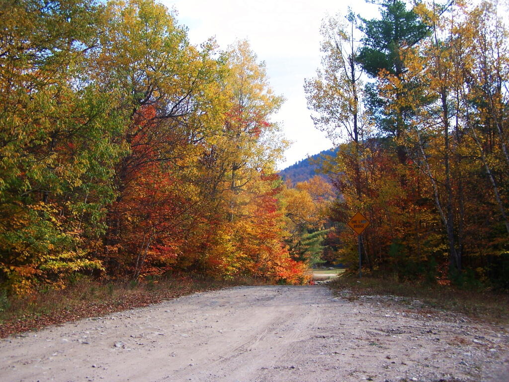 Photo: Kushaqua-Mud Pond Road
