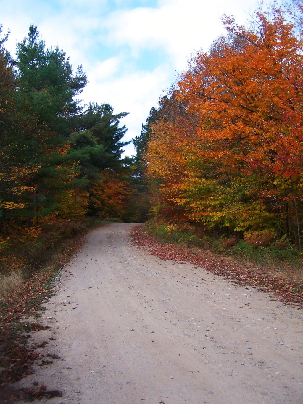 Photo: Kushaqua-Mud Pond Road 1