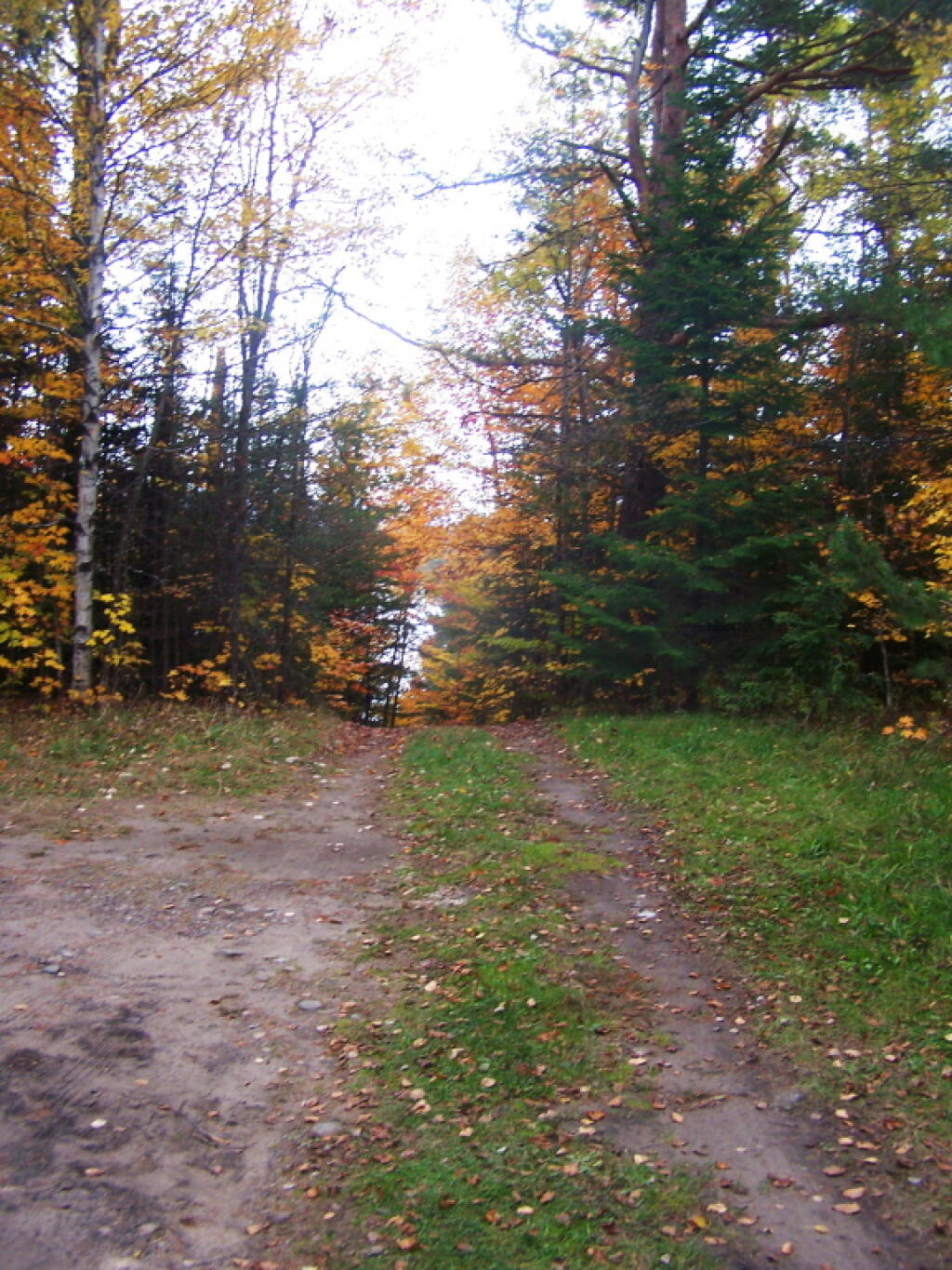 Photo: Steep Road to Lake Kushaqua Roadside Campsite