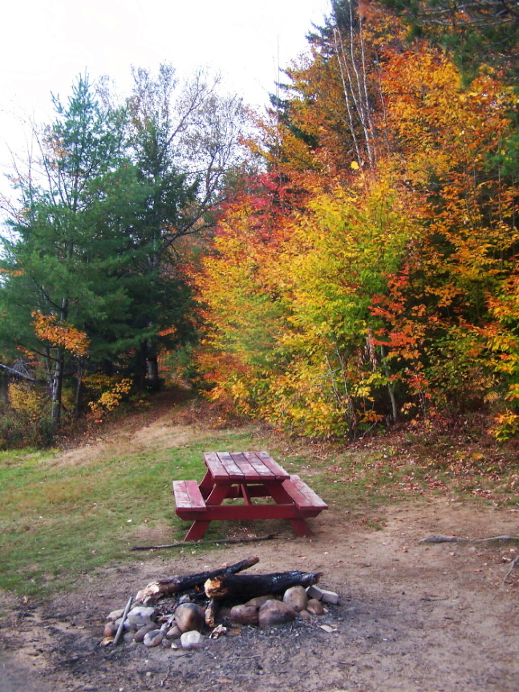 Photo: Designated Campsite on Lake Kushaqua