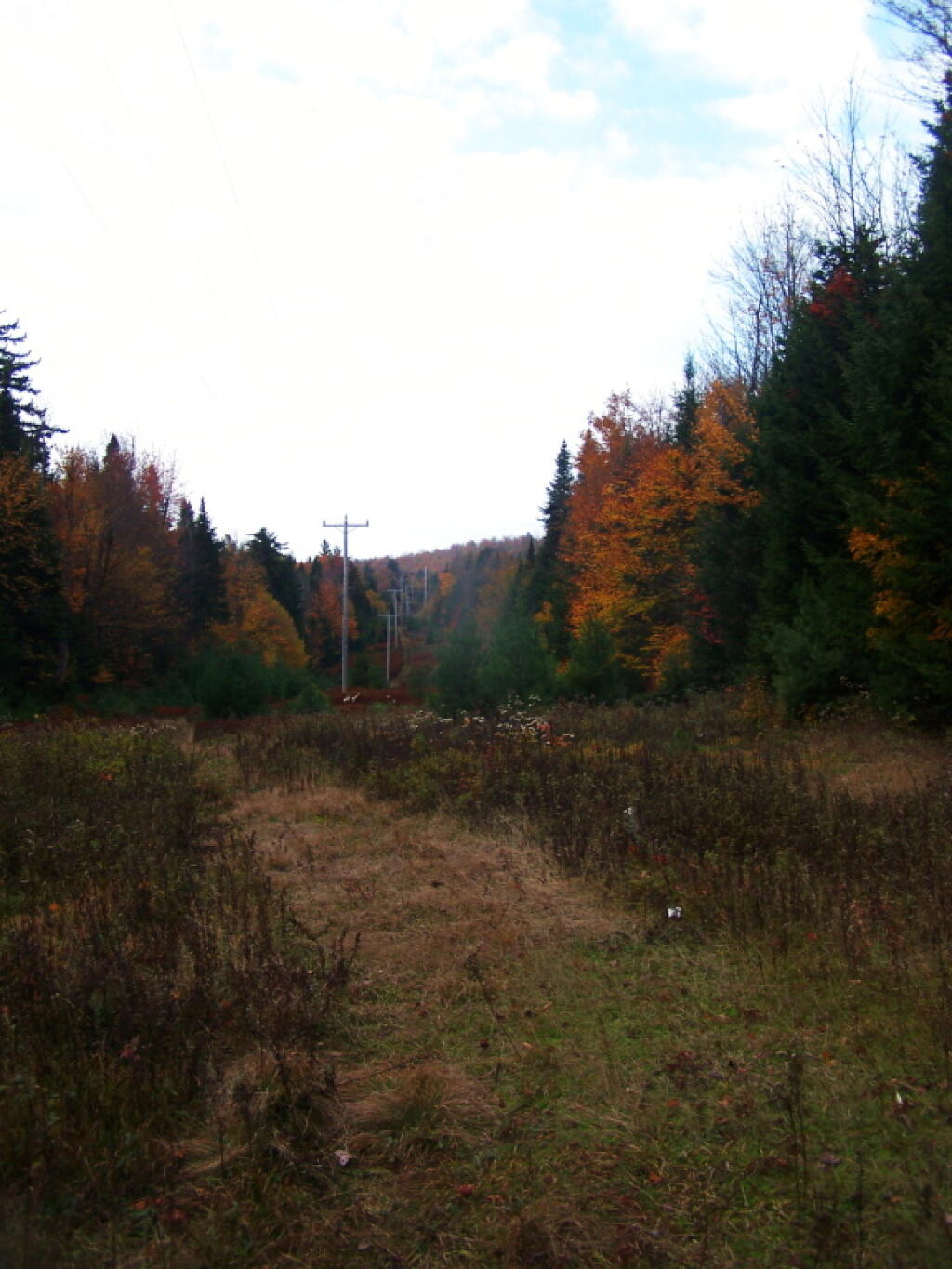Photo: Power Line Right of Way