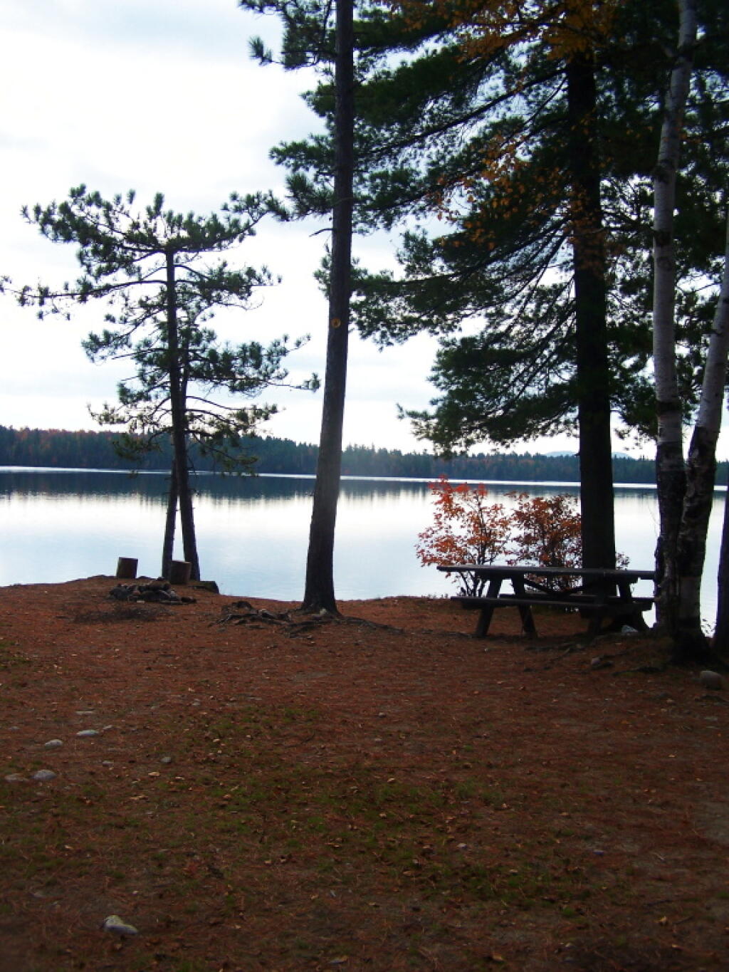 Photo: Kushaqua Roadside Campsite 2