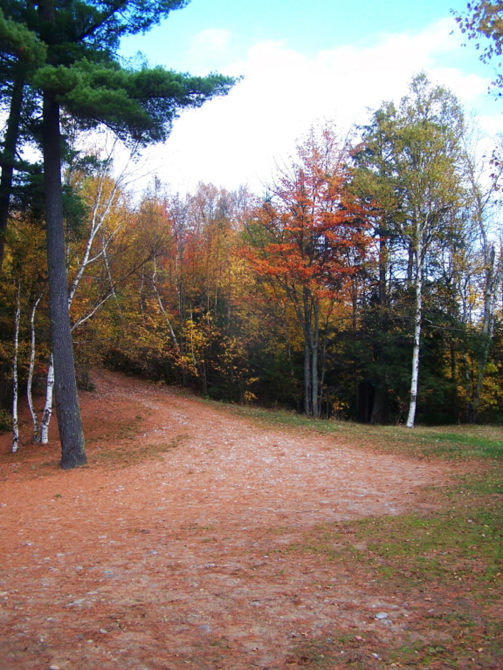 Photo: Back of Campsite, and Driveway Heading to Road