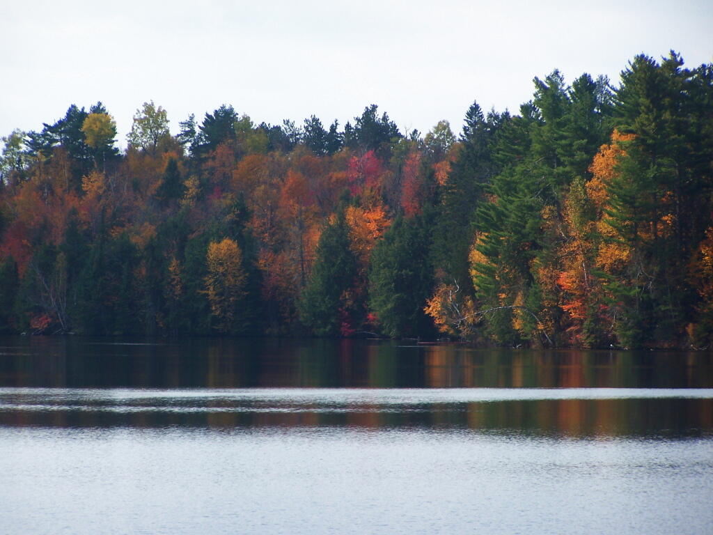 Photo: Remaining Fall Colors