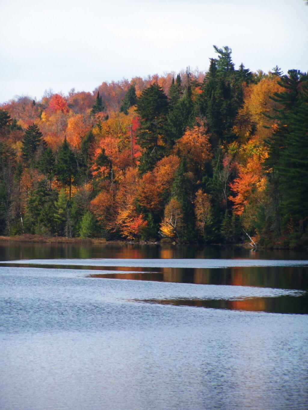 Photo: Last Oranges and Browns of Fall