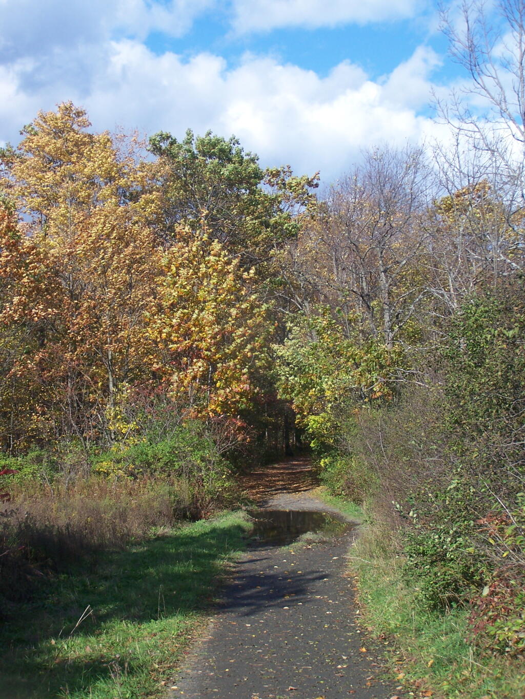 Photo: Trail to High Point