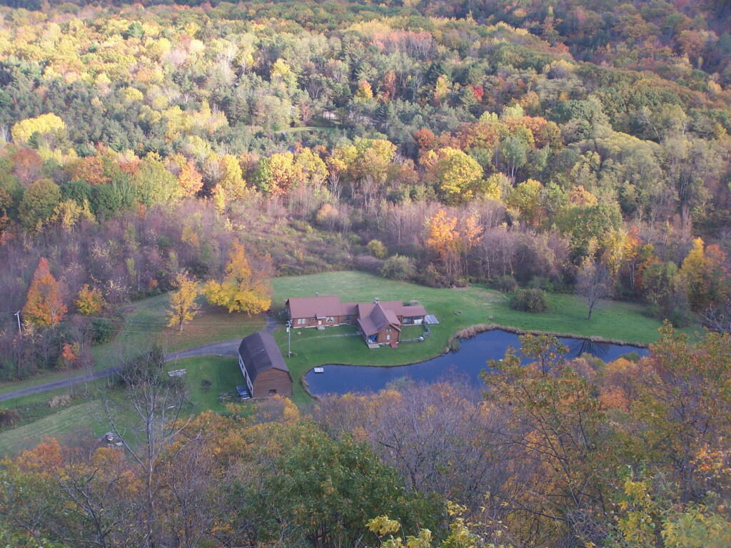Photo: House and Pond