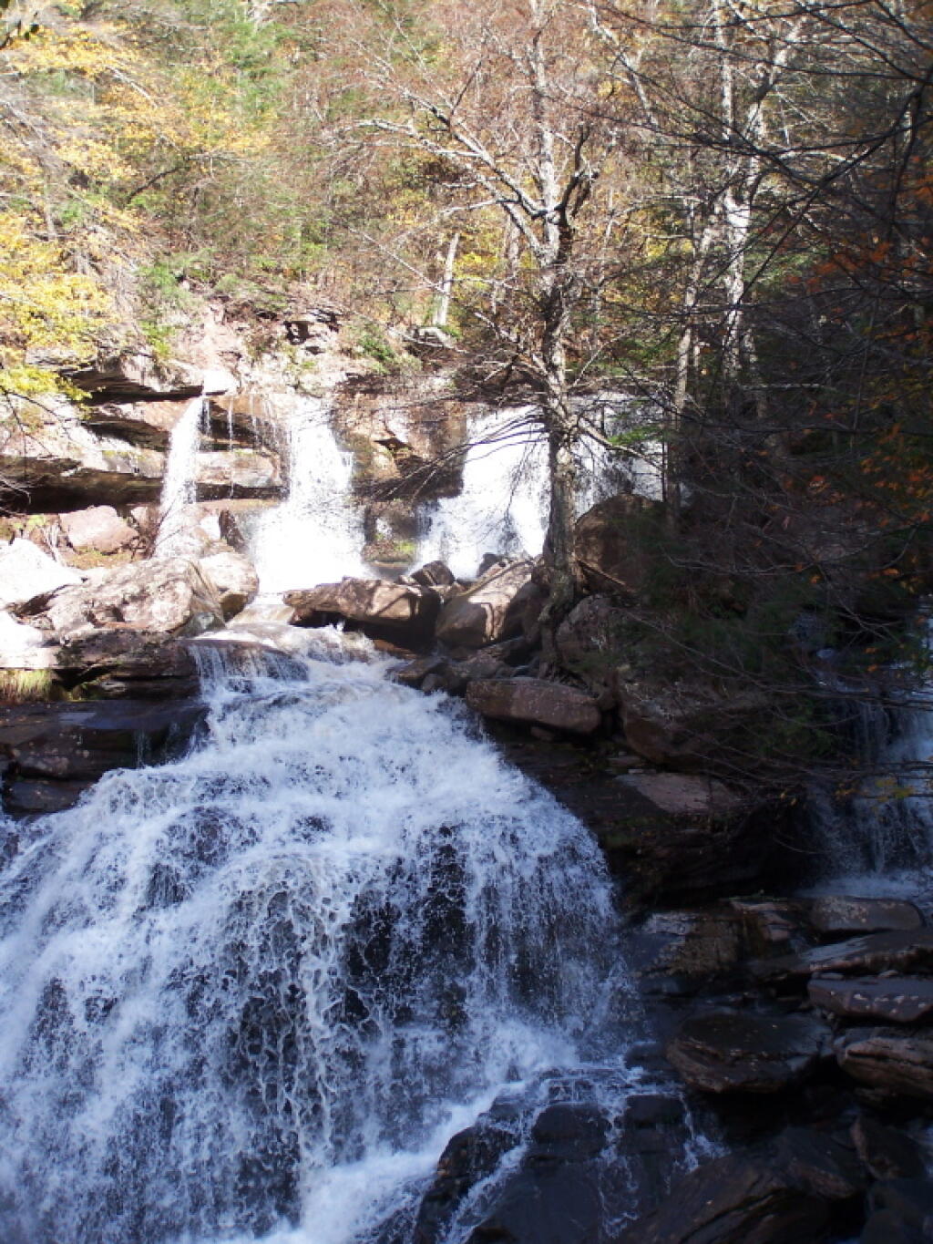 Photo: Bastion Falls