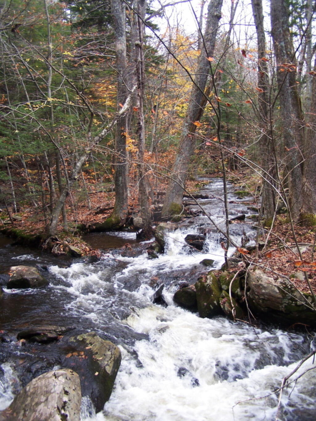 Photo: Crossing the Kaaterskill Creek