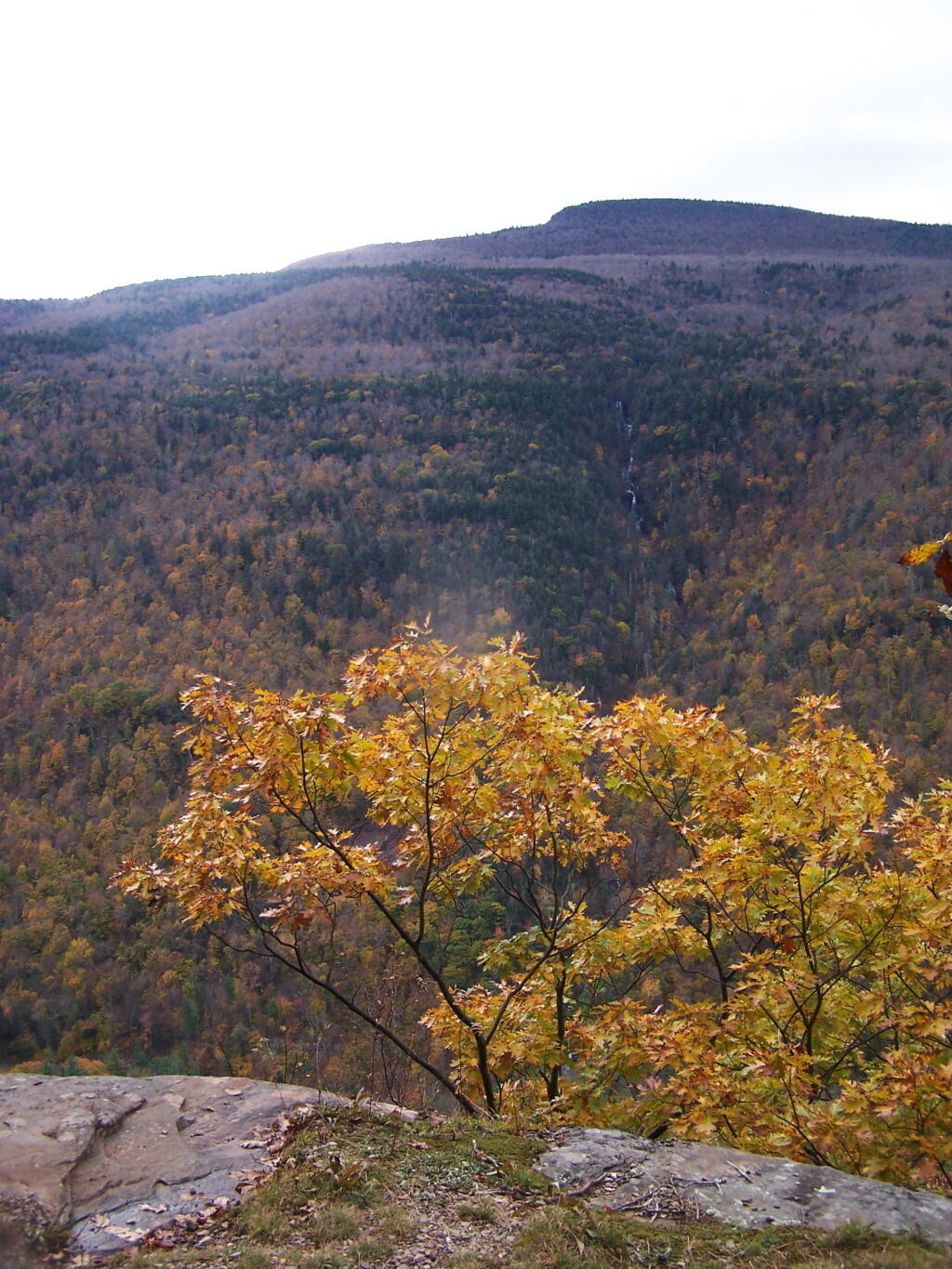 Photo: Wild Cat Ravine
