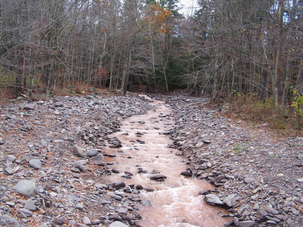 Photo: Re-Routed East Kill