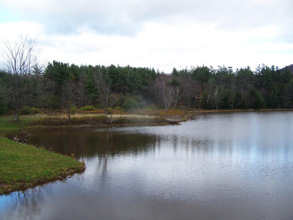Photo: Fishing Dock at Colegate Lake