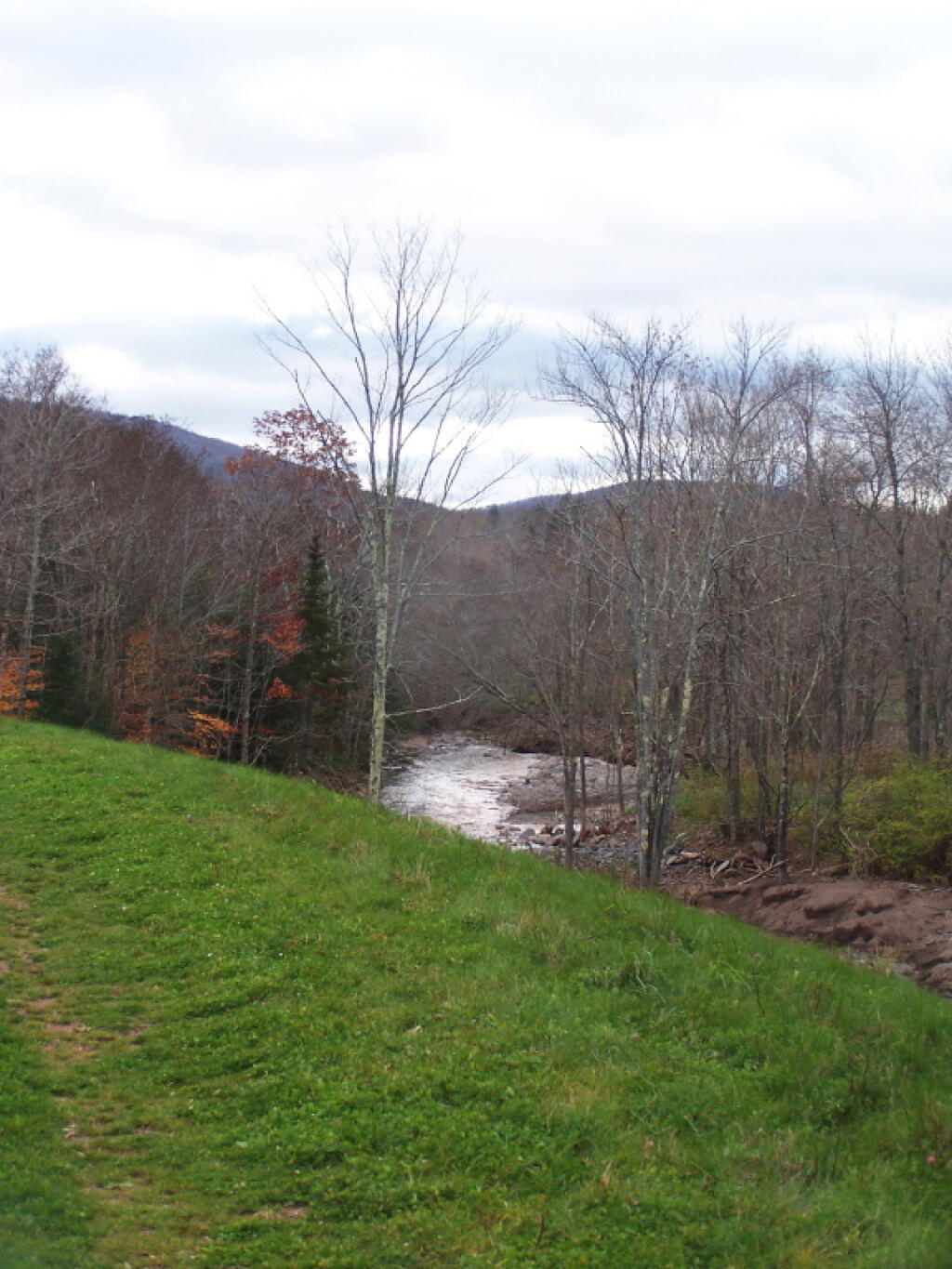 Photo: East Kill