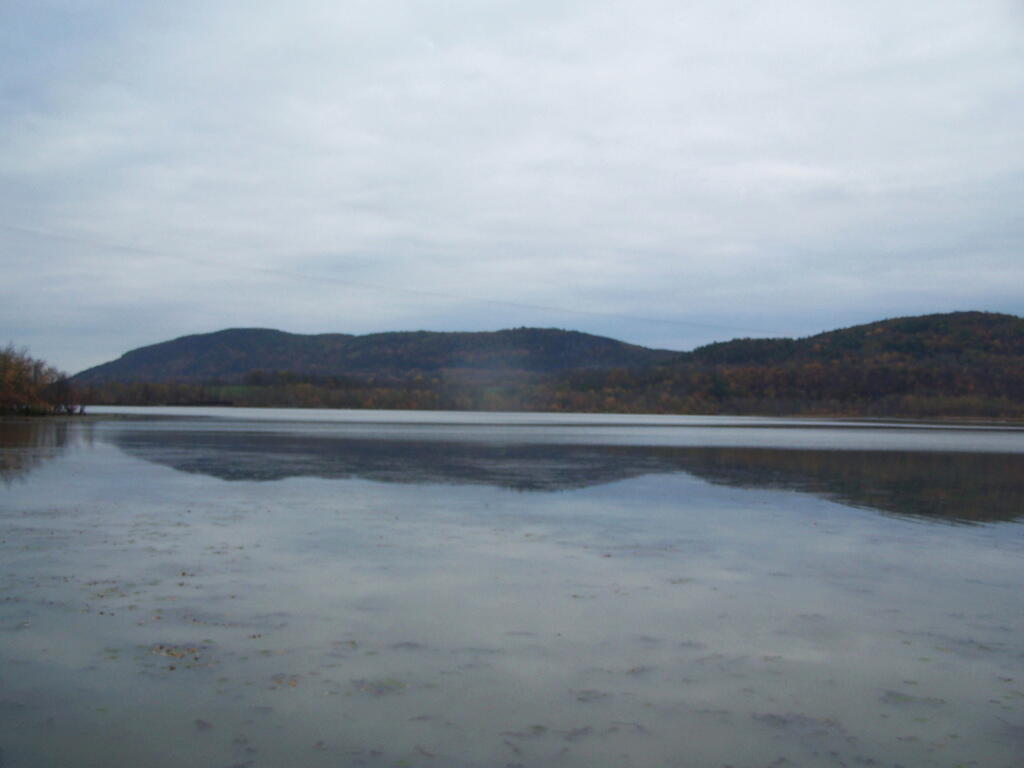 Photo: South Bay: Looking North