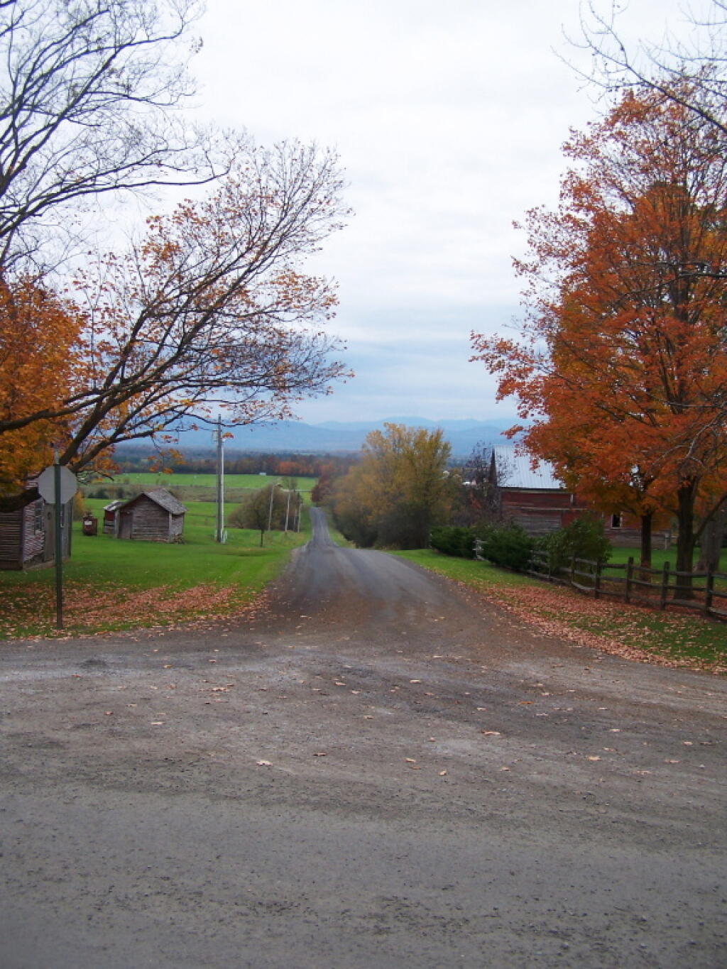 Photo: Wilmart Road