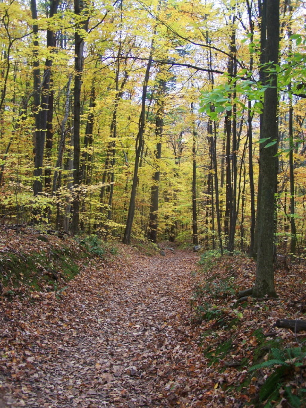Photo: Heading Up the Mountain