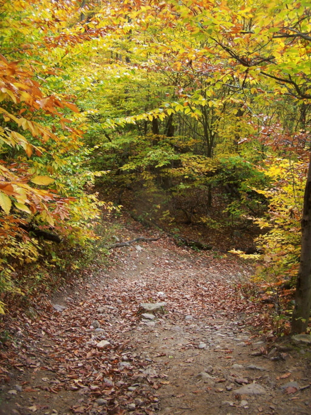 Photo: Switchback