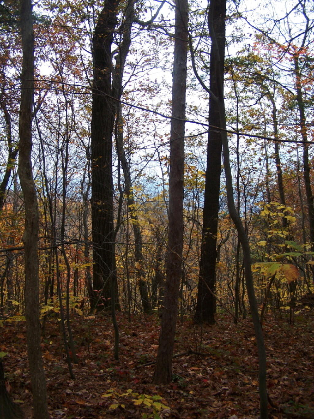 Photo: Looking Back Towards Middlebury