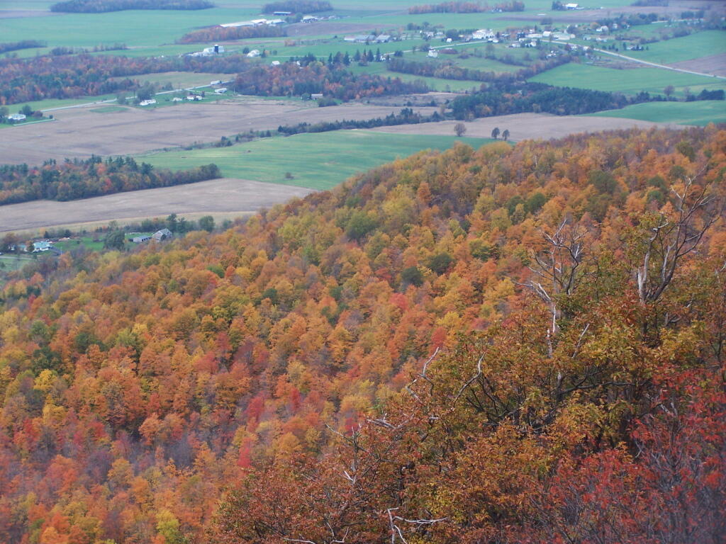 Photo: Snake Mountain 11