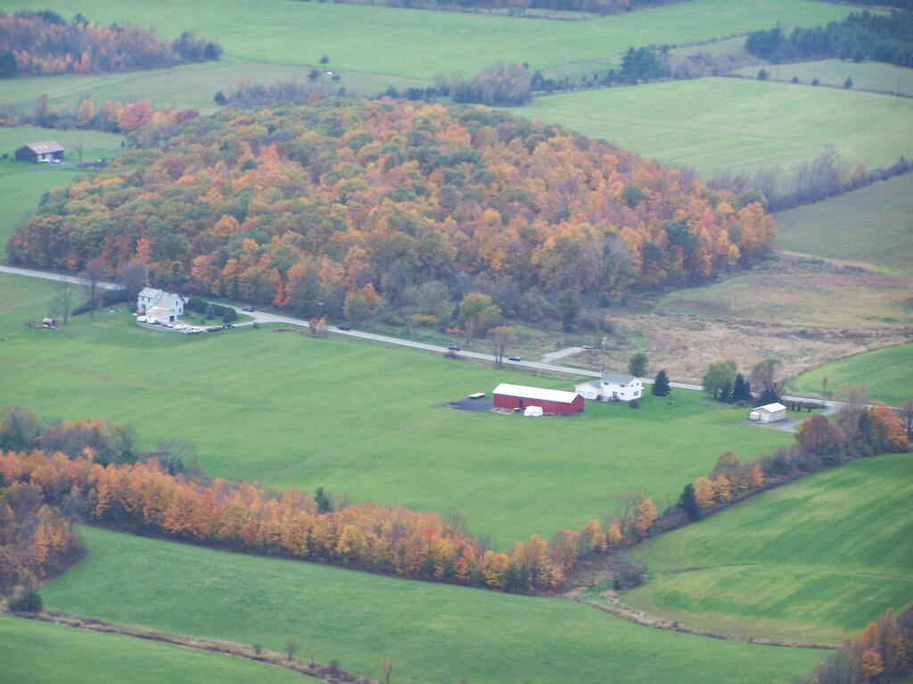 Photo: Farm Woodlands